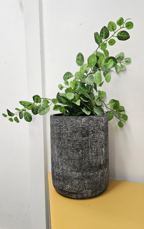 Plant in Vase